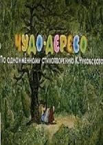 Чудо дерево 1985. Дерево 1985.